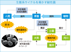 生態系サイクルを脅かす耐性菌のイメージ