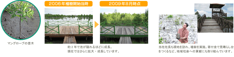 現地におけるマングローブ植樹活動の様子