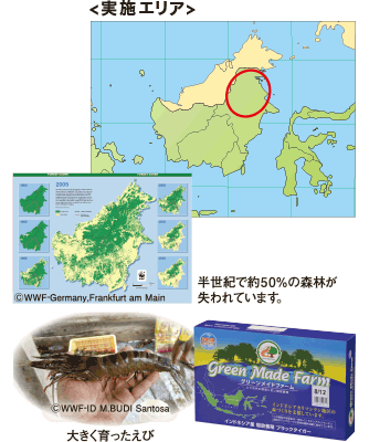 WWFインドネシア・WWFジャパンとの取り組み