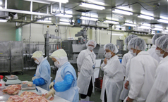 生産現場での体験学習の様子